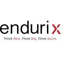 endurix logo image