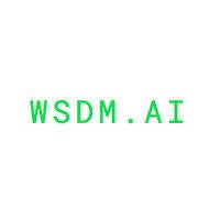 wsdm.ai