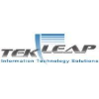 tekleap - information technology solutions logo image