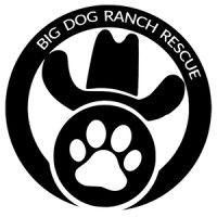 big dog ranch rescue logo image