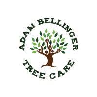 24hr tree care / adam bellinger tree care logo image