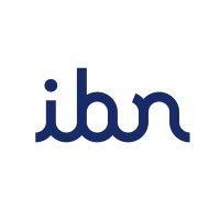 ibn logo image