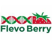 flevo berry logo image