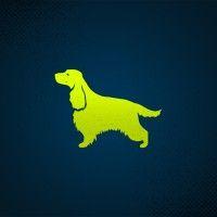 dog walking daily logo image