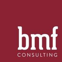 bmf consulting group llc logo image