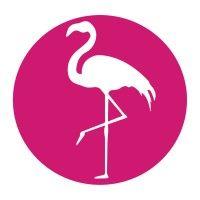 silver airways logo image