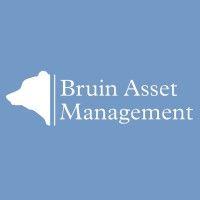 bruin asset management logo image