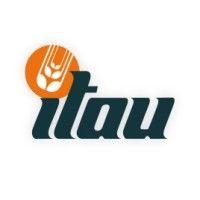 itau logo image