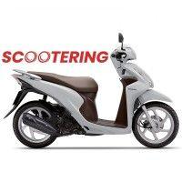 scootering australia logo image