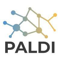 paldi logo image