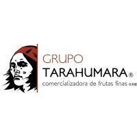 grupo tarahumara logo image