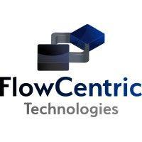 flowcentric technologies (pty) ltd logo image