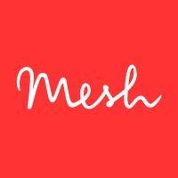 mesh design consultants