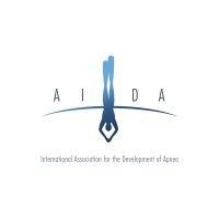 aida international logo image