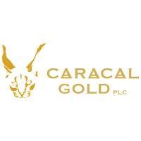 caracal gold plc (lse: gcat) (fse: 6ik) logo image