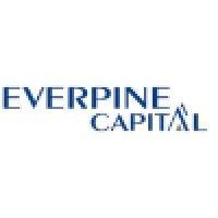 everpine capital limited logo image