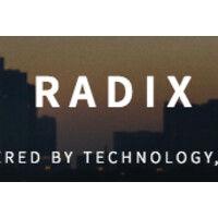 radix trading llc logo image