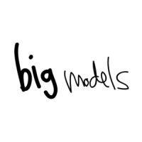 big models logo image