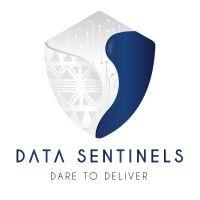 data sentinels logo image