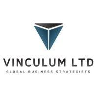 vinculum ltd. logo image