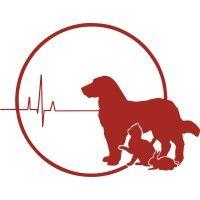 central hospital for veterinary medicine logo image