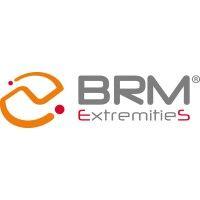 brm extremities s.r.l. logo image