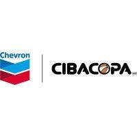 liga chevron cibacopa logo image