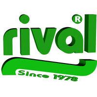 rival srl logo image