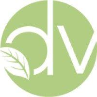 delta valley services ltd. logo image