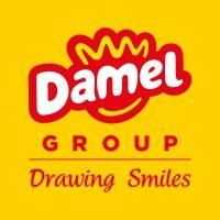 damel group logo image