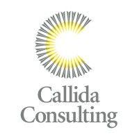 callida consulting logo image