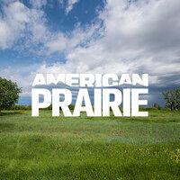 american prairie logo image