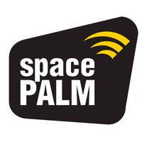 spacepalm