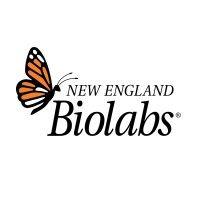 new england biolabs logo image