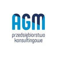 przedsiębiorstwo konsultingowe agm