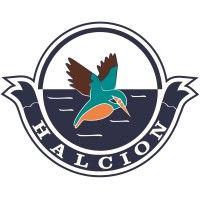 halcion group logo image