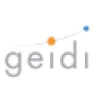 geidi it management logo image