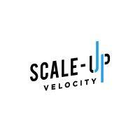 scale-up