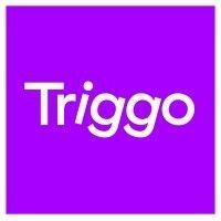 triggo logo image