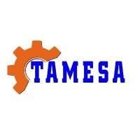 tamesa s.a