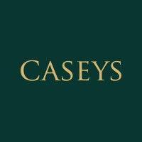 caseys furniture logo image