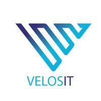 velosit info lab pvt ltd logo image