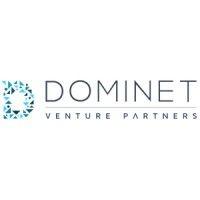 dominet venture partners