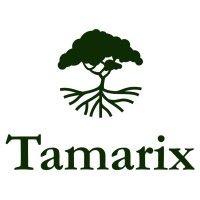 tamarix capital