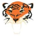 logo of Tigerbite