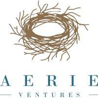 aerie ventures logo image