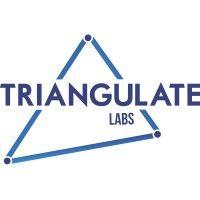 triangulate labs logo image