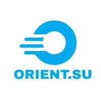 orient logistics logo image