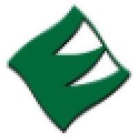 evergreen solutions logo image