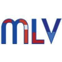 multilingual vacancies logo image